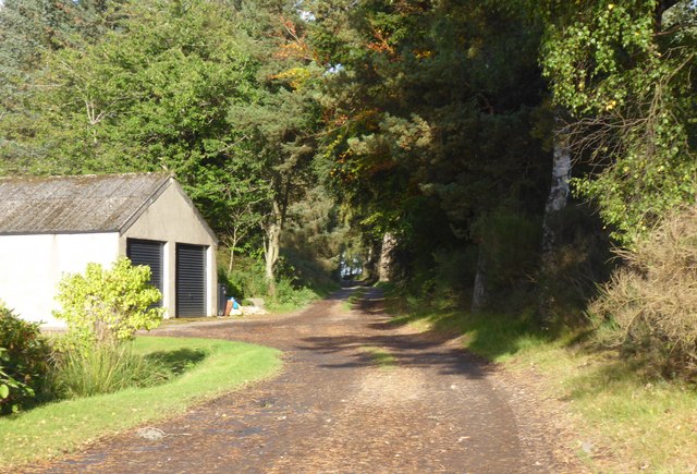 Lane to Catterloch Farm
