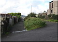 Back lane and path on the west side of Maesyffynon Terrace, Trealaw