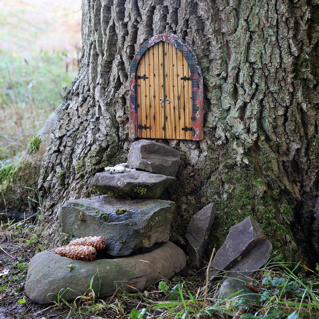 Fairy doors on a tree at Gala Hill