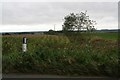 Farmland and Elsham May Bank Drain next to Elsham Road, Worlaby