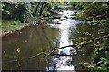 NZ2285 : River Wansbeck near Shadfen Park by Jim Barton
