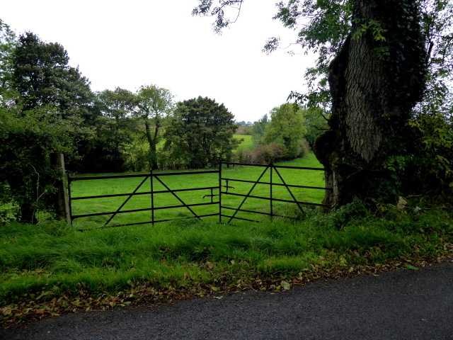 Rusty gates, Deroran