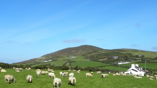 Sheep pasture, Uwchmynydd