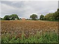 North  Park  Farm  over  potato  field