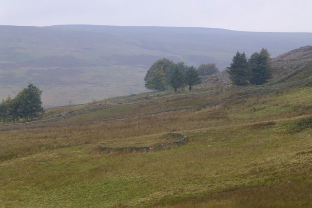 Sheepfold above Middle End Farm