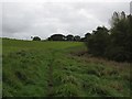 Hardy Way near Slape Manor