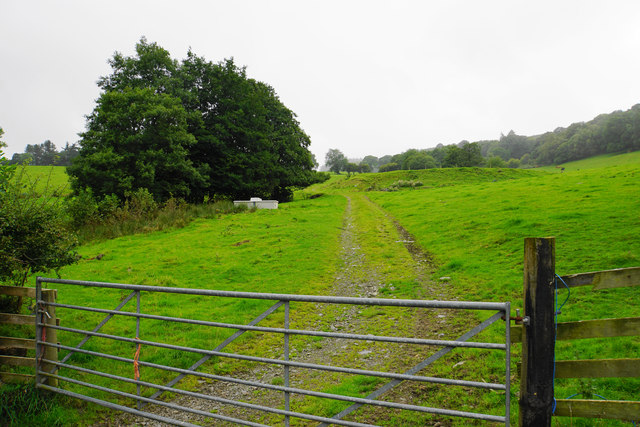 Farm track opposite Ty'n-y-fâch