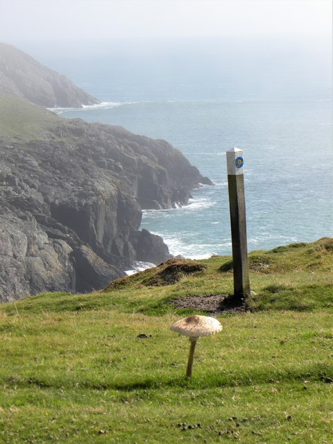 Waymarker on the coast path