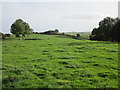 Fields below Near Coates Farm