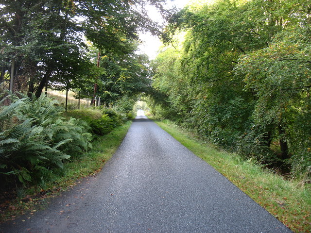 The South Loch Tay Road, heading for Killin