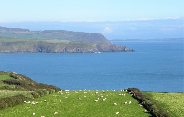 Sheep pasture above Hen Borth