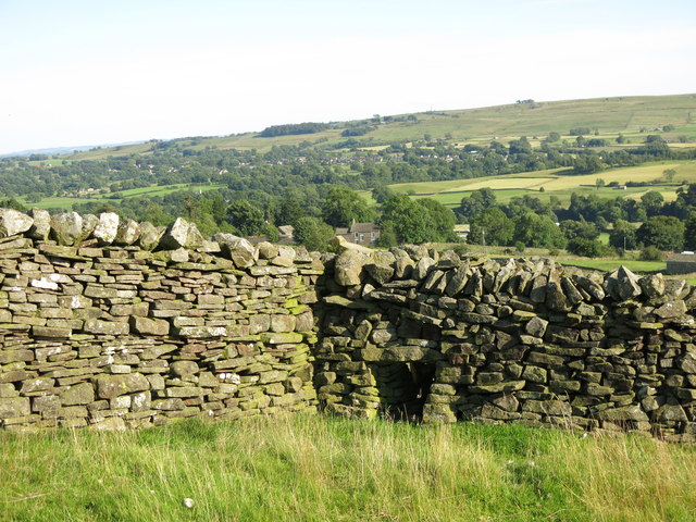 Sheep hole in dry stone wall above Stanhope Gate
