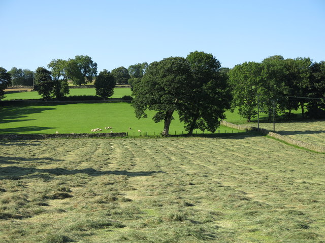Fields above Town End (3)