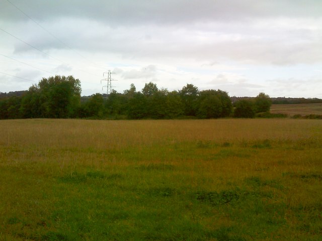Pylon View