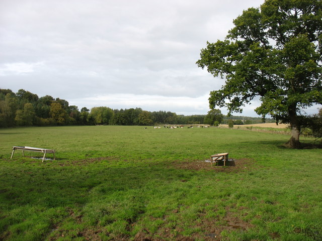 Fields and woods at Beastrigg
