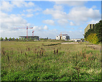 TL4654 : Building sites on the Cambridge Biomedical Campus by John Sutton