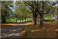 Ayot St Peter Road at Ayots Green