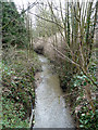 Brook through Hendon Cemetery