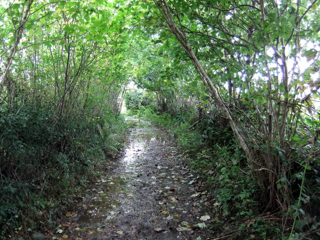 Path near High Cark Hall
