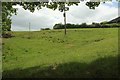 Hillside, Higher Staplehill