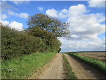TA0946 : Track to Heigholme Lane by Jonathan Thacker