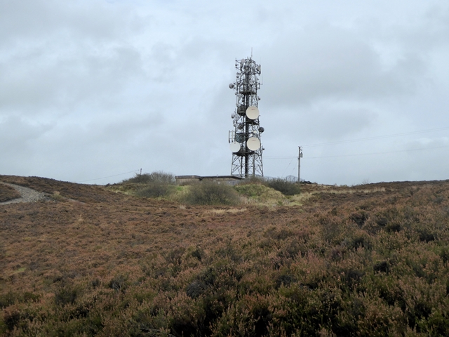 Mobile phone mast at Loughanleagh
