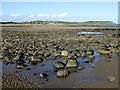 O1682 : Rocks on the beach at Ganderstown by Oliver Dixon