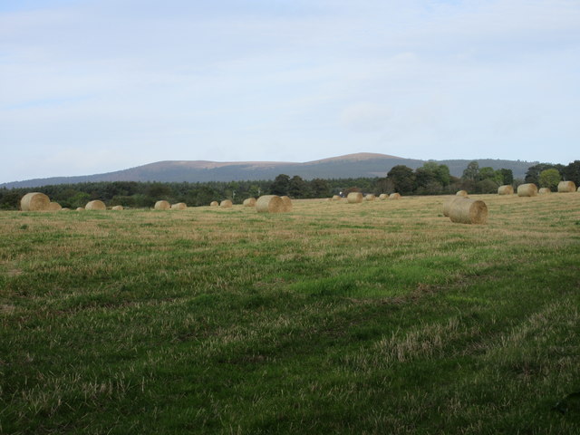 Straw bales east of Banchory