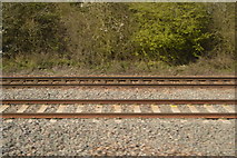 ST8451 : Line to Westbury Station by N Chadwick