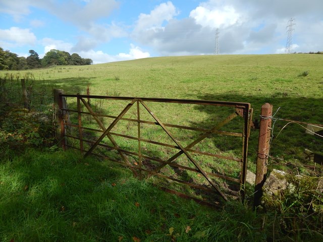 Field gate