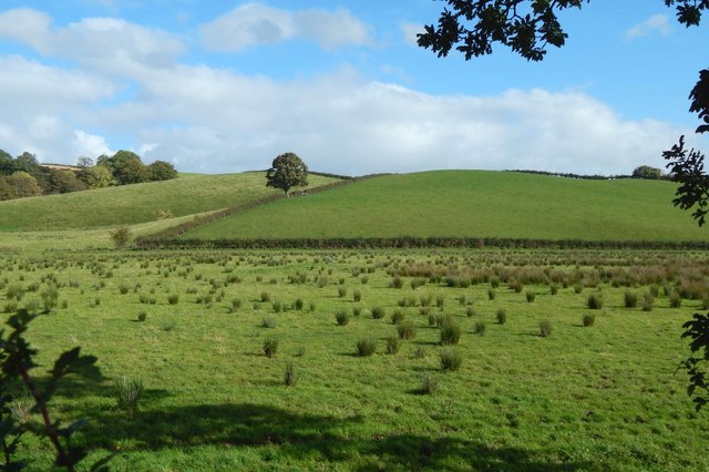 Fields beside Darleith Road
