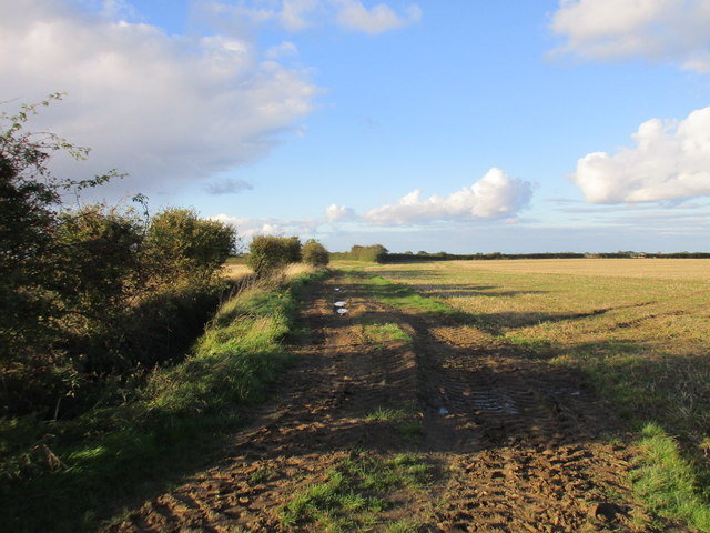 Muddy track, Bowbutts