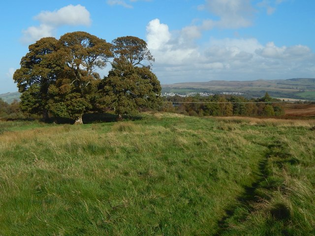 The site of Carman farmstead