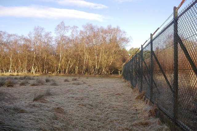 ROF Bishopton fence, Fulwood Moss