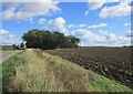 Ploughed field by New Road