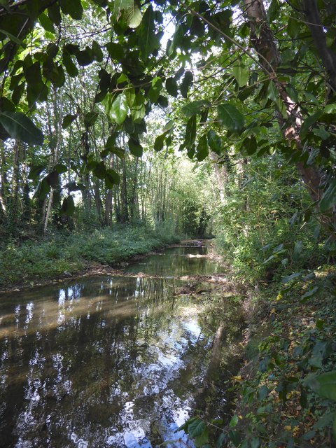 The Hogsmill River: view upstream