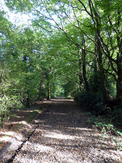 The Wealdway near Fairwarp © PAUL FARMER cc-by-sa/2.0 :: Geograph ...