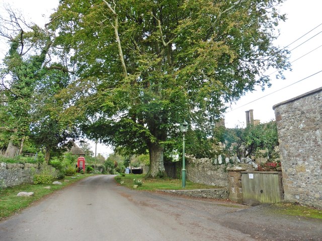 Road outside Wayford Manor