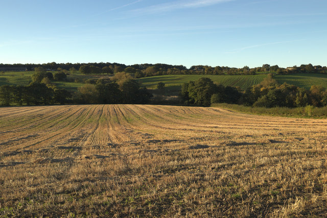 Wigton Heath, Leeds - area information, map, walks and more