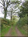 Scratchface Lane from its junction with the surfaced road