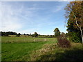 TQ6935 : Grassland near Scotney Castle by PAUL FARMER