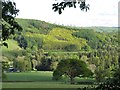 View across the Cothi Valley