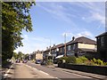 Bus shelter and shops, A6 in Darley Dale