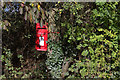 Post box on Dorney Wood Road