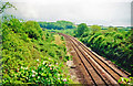 Site of Long Sutton & Pitney station, 2001