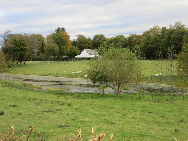 Lochan and Sheep