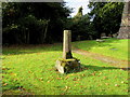SO3417 : Remains of the medieval churchyard cross, Llanddewi Skirrid by Jaggery