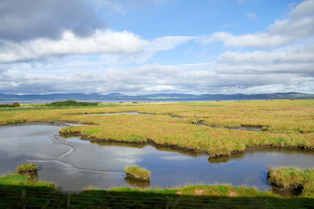 Wetland near Lough Foyle
