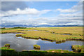 C6022 : Wetland near Lough Foyle by David Dixon