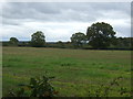 Stubble field, Leese Hill